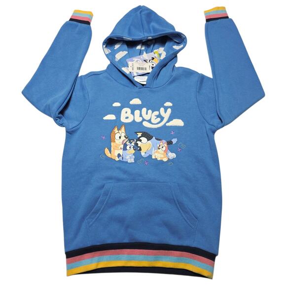 Bluey And Friends Cloud Kids Disney Character Hoodie Size Youth Medium NWT - Picture 1 of 7
